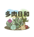 色んな多肉植物たち(日常ことば)（個別スタンプ：24）