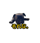 五反田のBAR敦盛の看板犬「ブッチャー」（個別スタンプ：4）