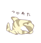 ねこザメしゃん（個別スタンプ：36）