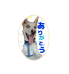るーちゃんすたんぴ？！（個別スタンプ：4）