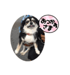 るーちゃんすたんぴ？！（個別スタンプ：10）
