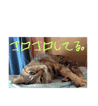 るーちゃんすたんぴ？！（個別スタンプ：14）