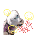 LSTAMP5（個別スタンプ：9）