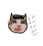 LSTAMP5（個別スタンプ：11）