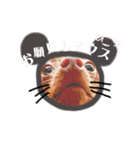 LSTAMP5（個別スタンプ：15）