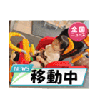 みぃちゃン7（個別スタンプ：15）