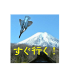 富士山カワセミスタンプ（個別スタンプ：8）