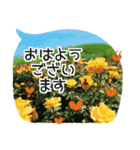 【癒しのお花スタンプ】（個別スタンプ：9）