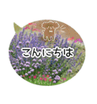 【癒しのお花スタンプ】（個別スタンプ：10）