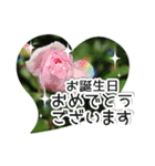 【癒しのお花スタンプ】（個別スタンプ：22）