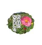【癒しのお花スタンプ】（個別スタンプ：35）
