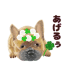 癒しのわんこ大集合(犬/リアクション/日常)（個別スタンプ：25）