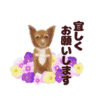 癒しのわんこ大集合(犬/リアクション/日常)（個別スタンプ：28）