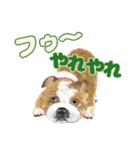 癒しのわんこ大集合(犬/リアクション/日常)（個別スタンプ：33）