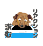 癒しのわんこ大集合(犬/リアクション/日常)（個別スタンプ：36）