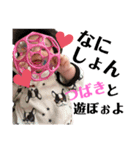 つばきー's すたんぷ ❤︎（個別スタンプ：14）