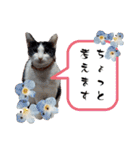 ユキ＆うみ＆ファラ第一弾（個別スタンプ：10）