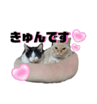 ユキ＆うみ＆ファラ第一弾（個別スタンプ：15）