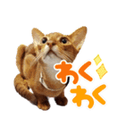 ユキ＆うみ＆ファラ第一弾（個別スタンプ：21）