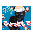 飛び出す！黒猫ハルとロビン[ダジャレ]（個別スタンプ：15）