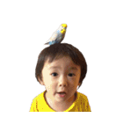 大きくなったうたさん（個別スタンプ：35）