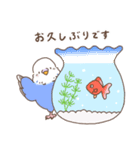 すこやかインコ6〜夏〜（個別スタンプ：37）