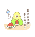 すこやかインコ6〜夏〜（個別スタンプ：38）