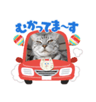 チェリーファミリーNEW（個別スタンプ：24）
