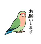 おらの動物園60-2【コザクラインコ】（個別スタンプ：5）