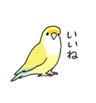 おらの動物園60-2【コザクラインコ】（個別スタンプ：10）