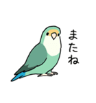 おらの動物園60-2【コザクラインコ】（個別スタンプ：17）