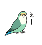 おらの動物園60-2【コザクラインコ】（個別スタンプ：19）