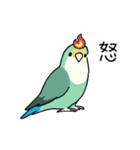 おらの動物園60-2【コザクラインコ】（個別スタンプ：24）