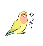 おらの動物園60-2【コザクラインコ】（個別スタンプ：30）