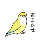 おらの動物園60-2【コザクラインコ】（個別スタンプ：33）