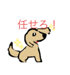 犬なんです…！！（個別スタンプ：1）