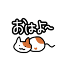 にゃんにゃんネコ♪（個別スタンプ：6）