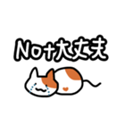 にゃんにゃんネコ♪（個別スタンプ：13）