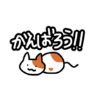 にゃんにゃんネコ♪（個別スタンプ：31）