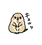 ジリスちゃん落書き風LINEスタンプ（個別スタンプ：1）