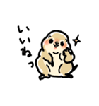 ジリスちゃん落書き風LINEスタンプ（個別スタンプ：3）