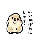 ジリスちゃん落書き風LINEスタンプ（個別スタンプ：13）