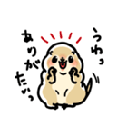 ジリスちゃん落書き風LINEスタンプ（個別スタンプ：28）