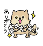 スーパー柴犬ちゃん（個別スタンプ：4）