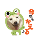 まる乃ふく乃（個別スタンプ：7）
