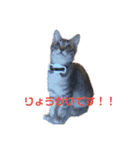 テンちゃんだいすき！！！（個別スタンプ：2）