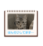 テンちゃんだいすき！！！（個別スタンプ：3）