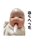 双子とその姉貴（個別スタンプ：13）