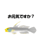 fish in the sea 9（個別スタンプ：5）