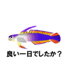 fish in the sea 9（個別スタンプ：6）